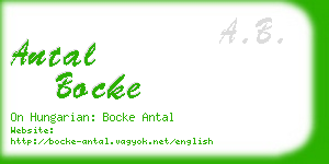 antal bocke business card